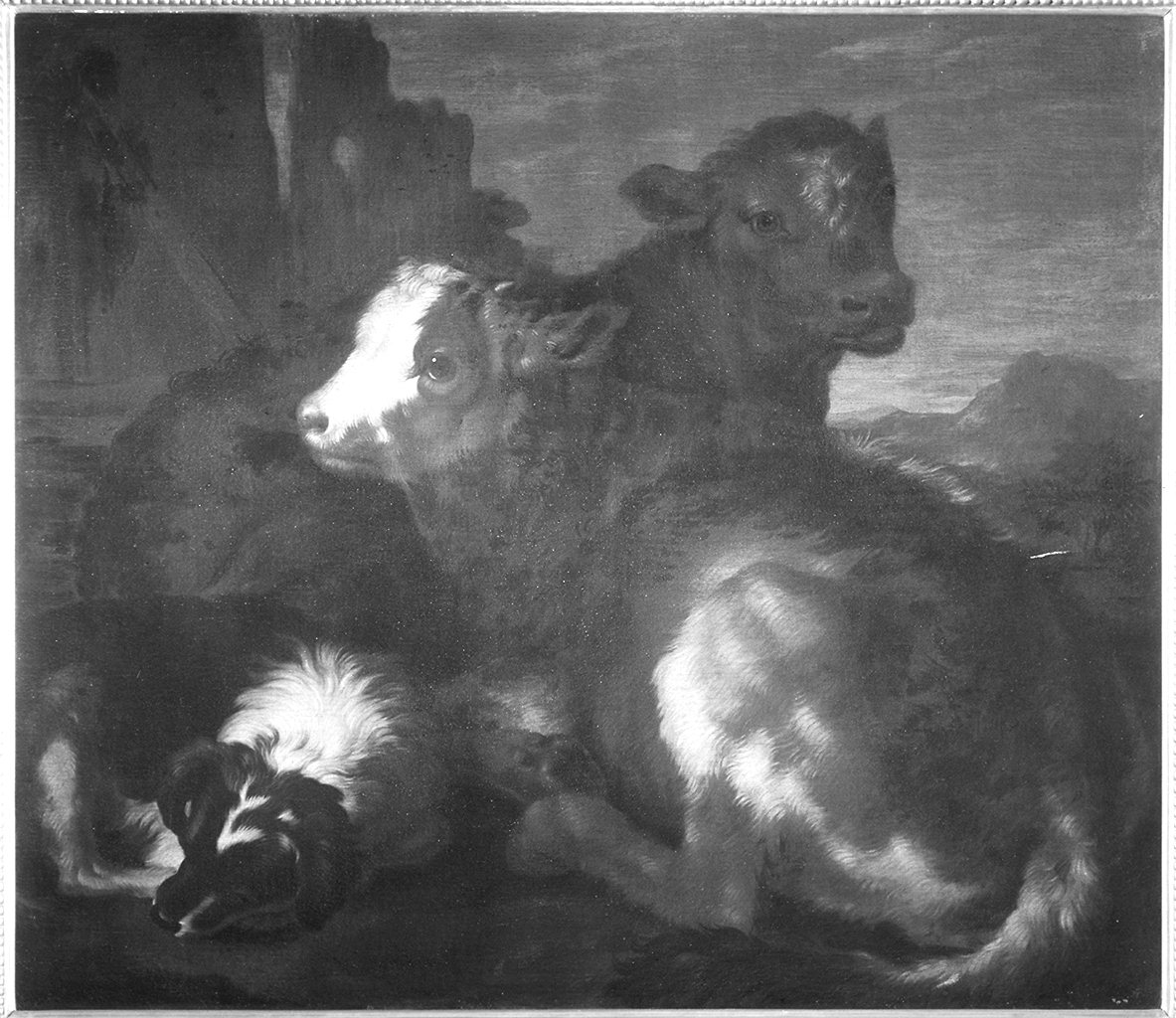 mucche con cane (dipinto) di Cassana Giovanni Agostino (attribuito) (secc. XVII/ XVIII)