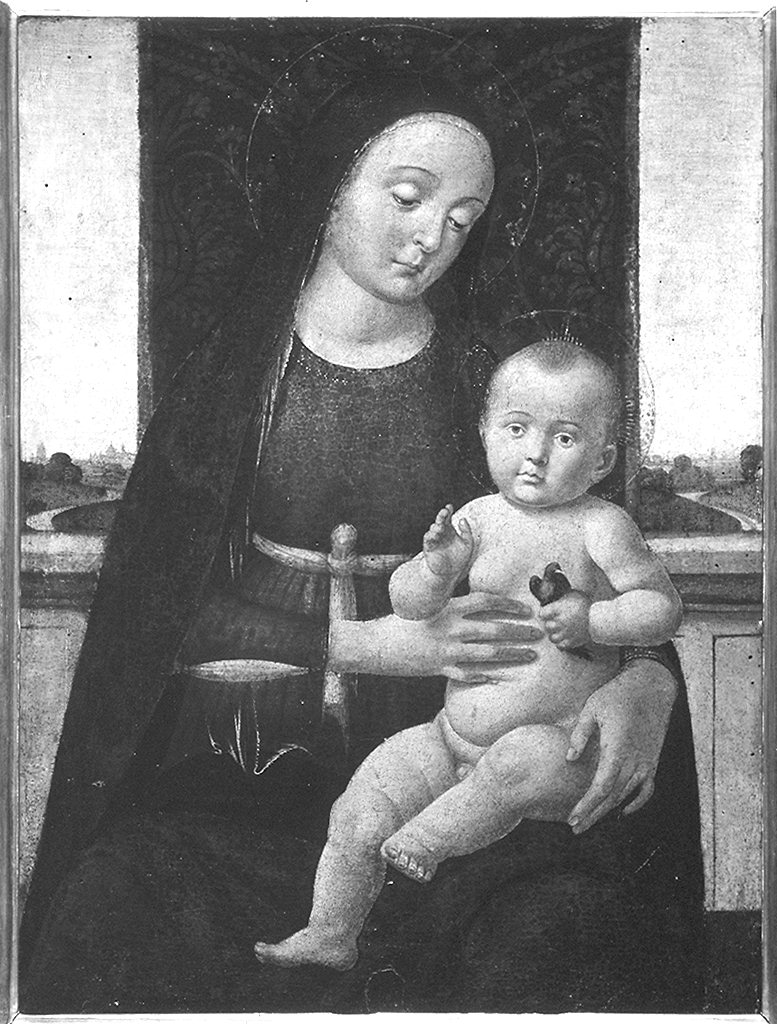 Madonna con Bambino che tiene in mano un uccellino (dipinto) di Biagio d'Antonio (fine/inizio secc. XV/ XVI)