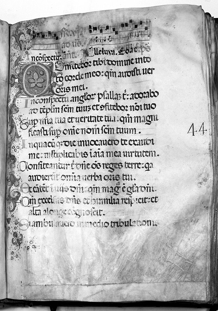 lettera C (miniatura) - ambito fiorentino (sec. XV)