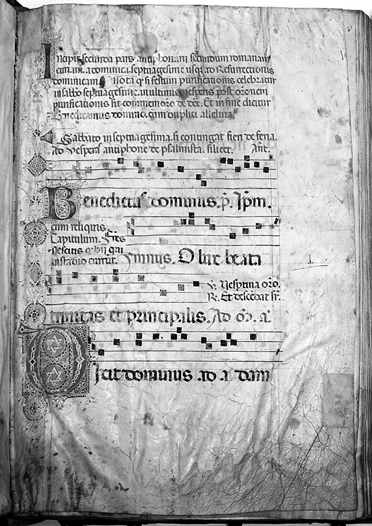 antifonario (manoscritto) di Bartolomeo di Fruosino (sec. XV)