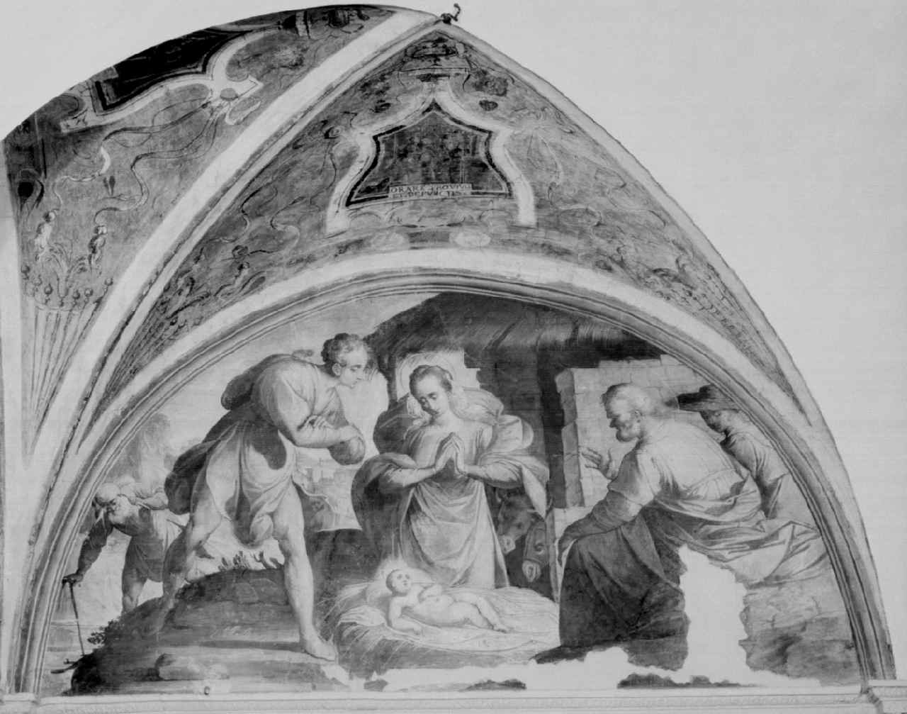 natività di Gesù (dipinto, elemento d'insieme) - ambito italiano, ambito italiano (ultimo quarto sec. XVI)