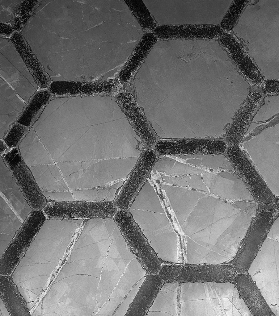 pavimento - bottega fiorentina (sec. XIX)