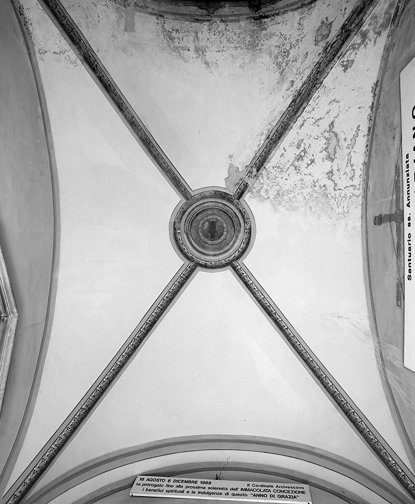 motivi decorativi vegetali (dipinto, complesso decorativo) - ambito fiorentino (sec. XVIII)