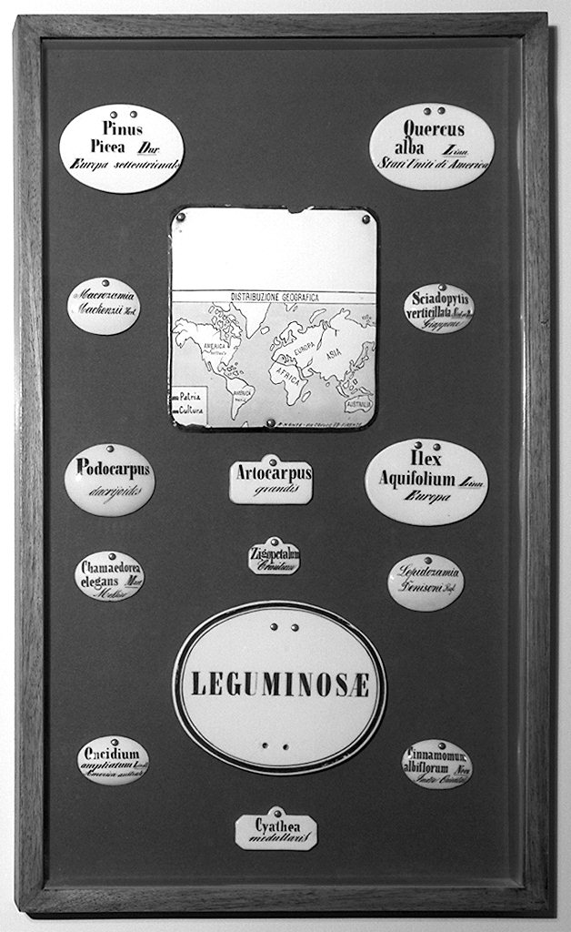 targa, serie - produzione toscana (sec. XIX)