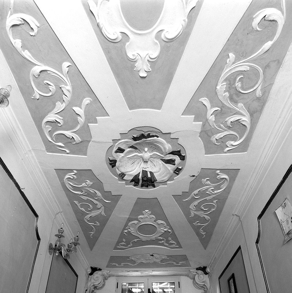 colomba dello Spirito Santo (decorazione plastica) - ambito toscano (terzo quarto sec. XVIII)