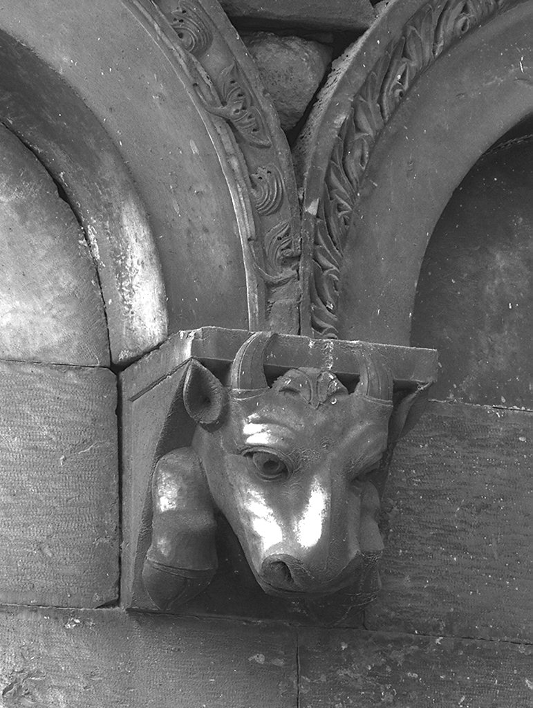 protome bovina (mensola) - bottega lucchese (prima metà sec. XII)