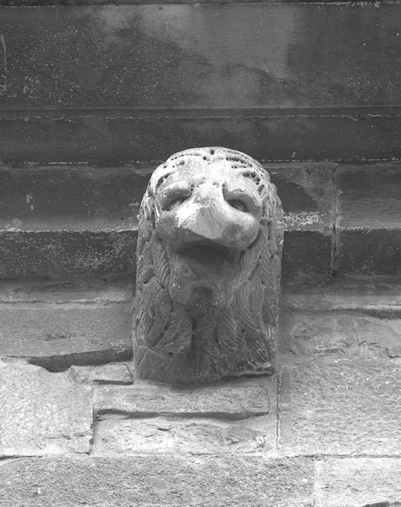 protome leonina (mensola architettonica) - ambito lucchese (prima metà sec. XII)