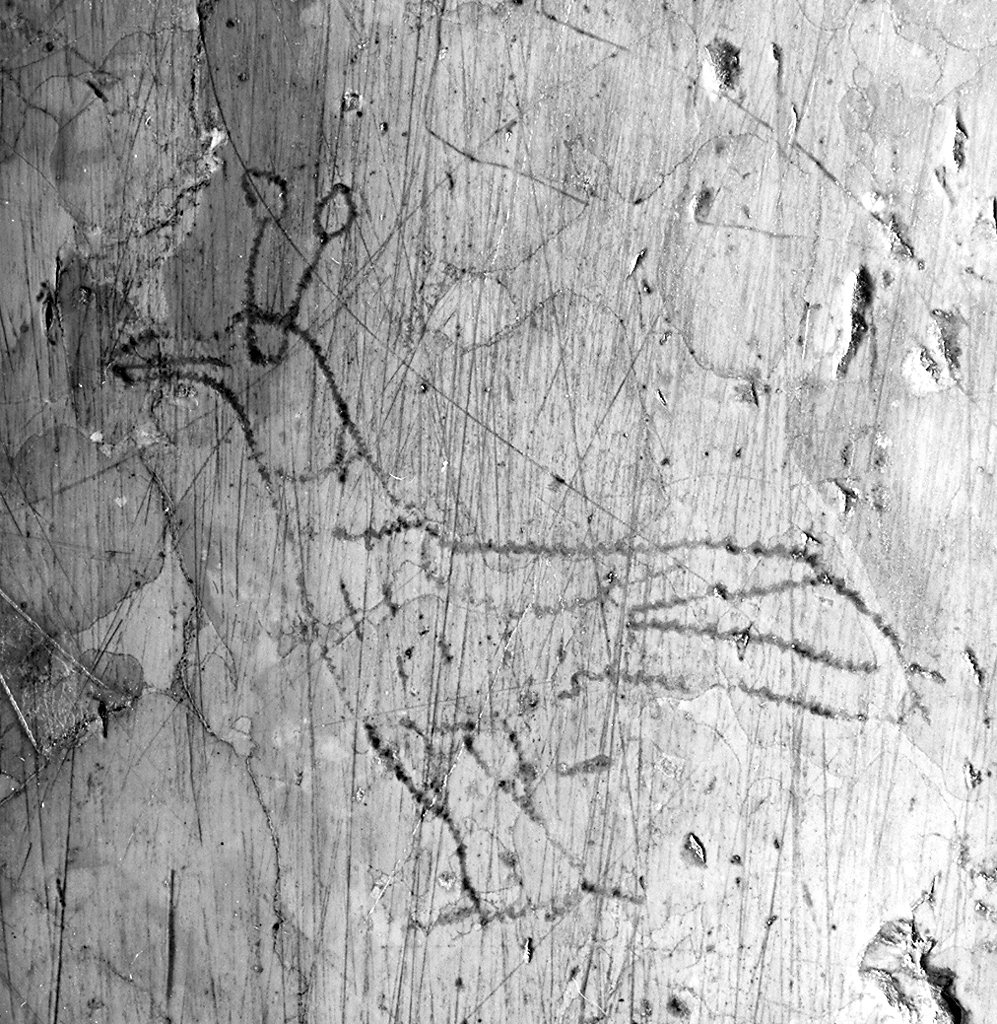 PAVONE (lapide) - ambito lucchese (secc. XIII/ XIV)