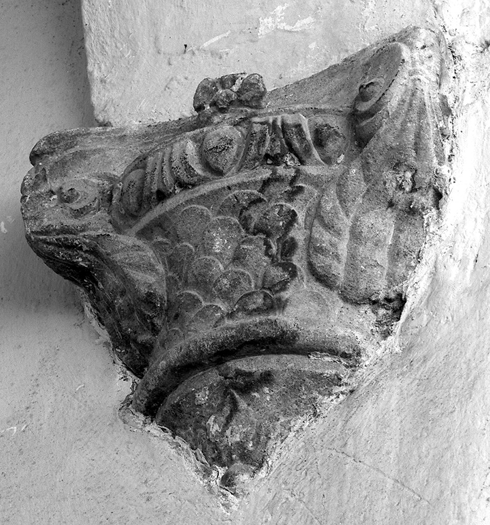 peduccio - bottega lucchese (primo quarto sec. XVI)