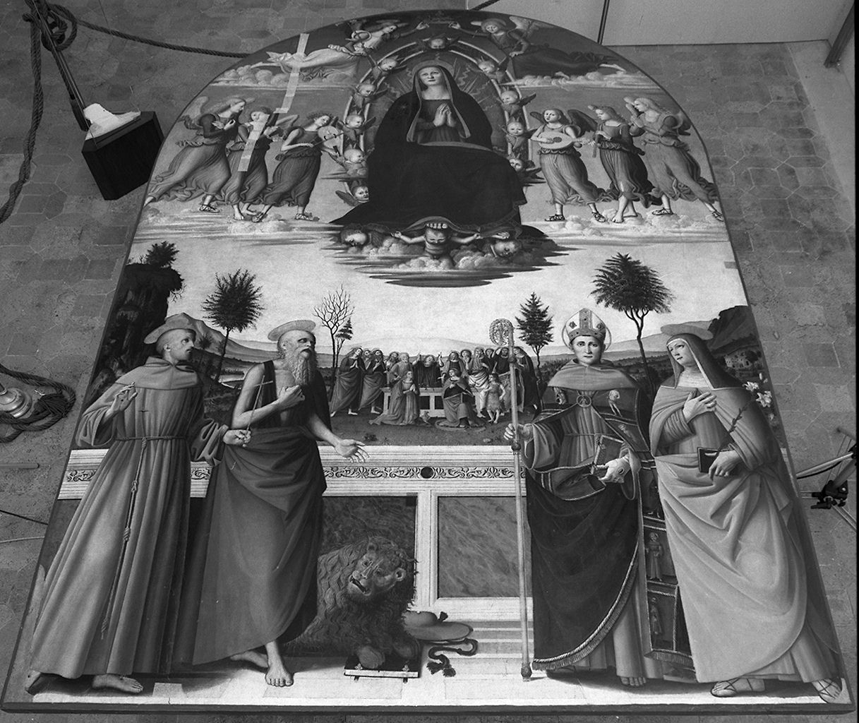 Assunzione della Madonna con gli apostoli, gli angeli, San Francesco, San Girolamo, San Lodovico, santa Chiara, santa Caterina d'Alessandria, SantaMaria Maddalena e San Giovannino, assunzione della Madonna (dipinto) - ambito tosco-umbro, ambito italiano, ambito italiano, ambito aretino, ambito italiano (inizio sec. XVI)