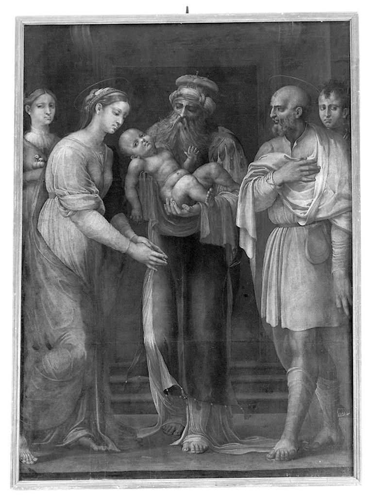 purificazione della Madonna (dipinto) - ambito italiano (sec. XVI)