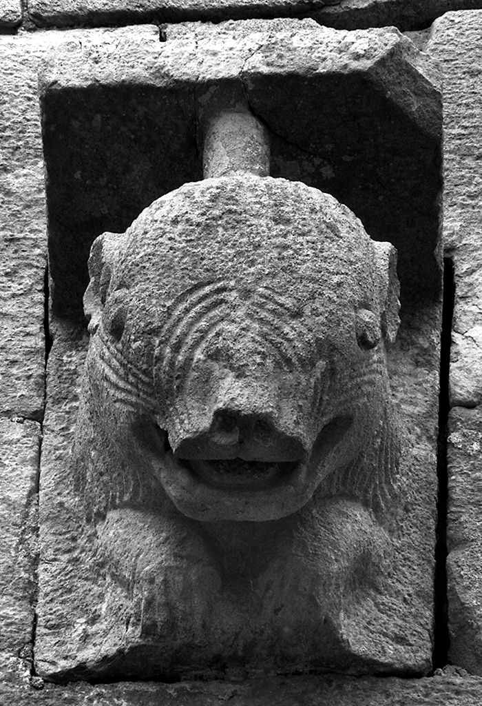 protome leonina (mensola) - ambito pisano (fine/inizio secc. XI/ XII)