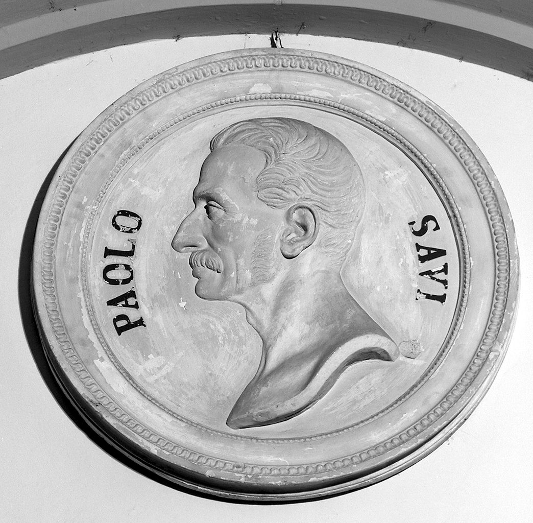 ritratto di Paolo Savi, ritratto d'uomo (rilievo) - ambito toscano (sec. XIX)