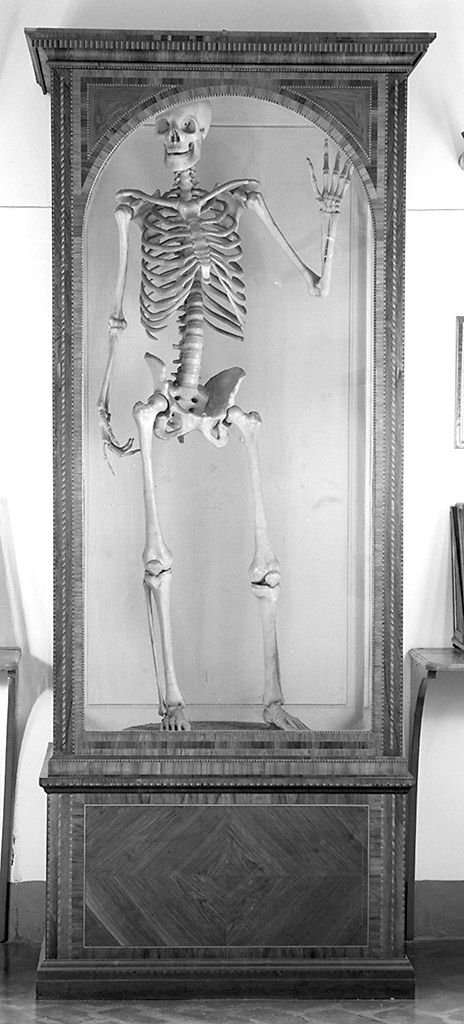 vetrina - manifattura fiorentina (sec. XIX)