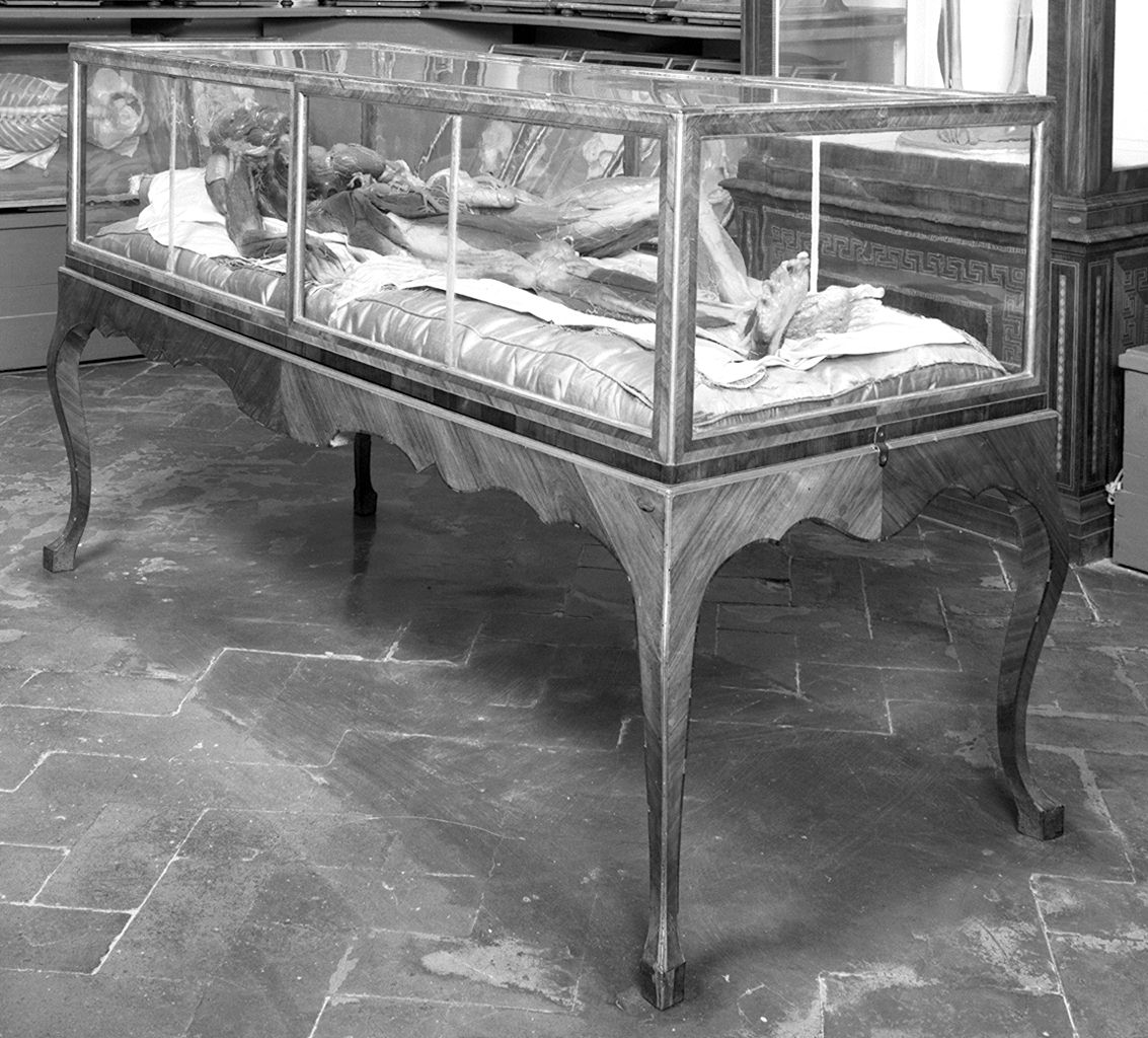 vetrina, serie - manifattura toscana (secc. XVIII/ XIX)