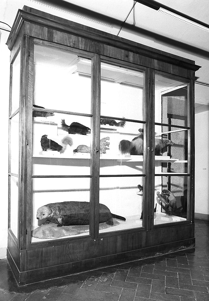 vetrina - produzione fiorentina (seconda metà sec. XIX)