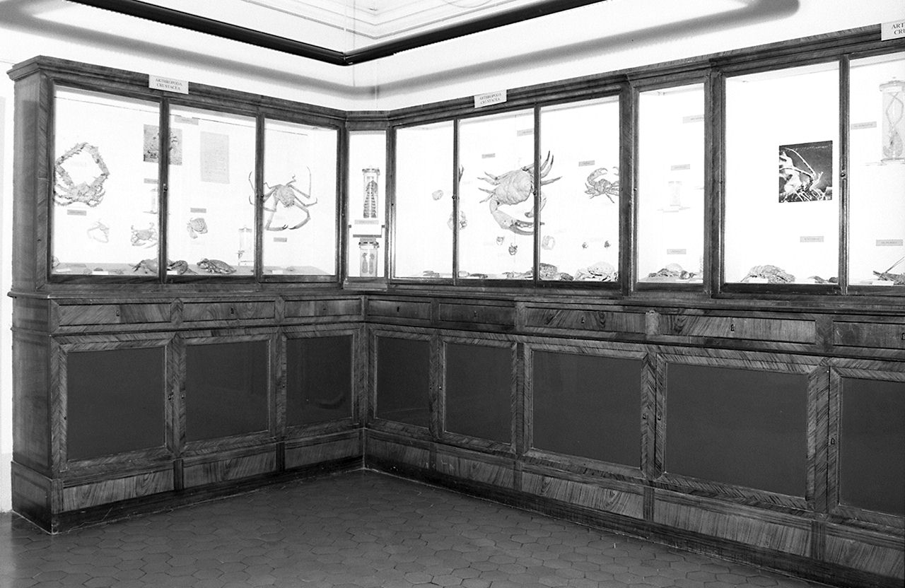 vetrina - manifattura toscana (prima metà sec. XIX)