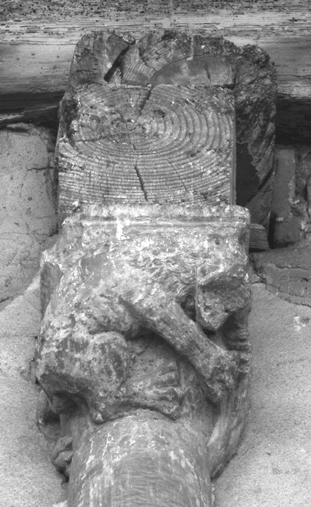 leone (capitello) - ambito toscano (inizio sec. XIII)