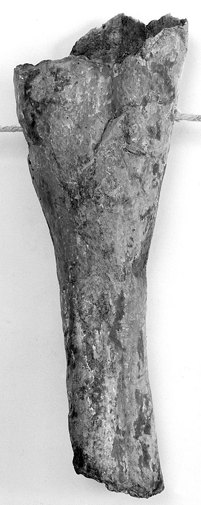 parte anatomica (ex voto antropomorfo) - valdelsano (secc. XVI/ XIX)