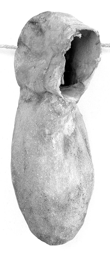 piede (ex voto antropomorfo) - valdelsano (secc. XVII/ XVIII)