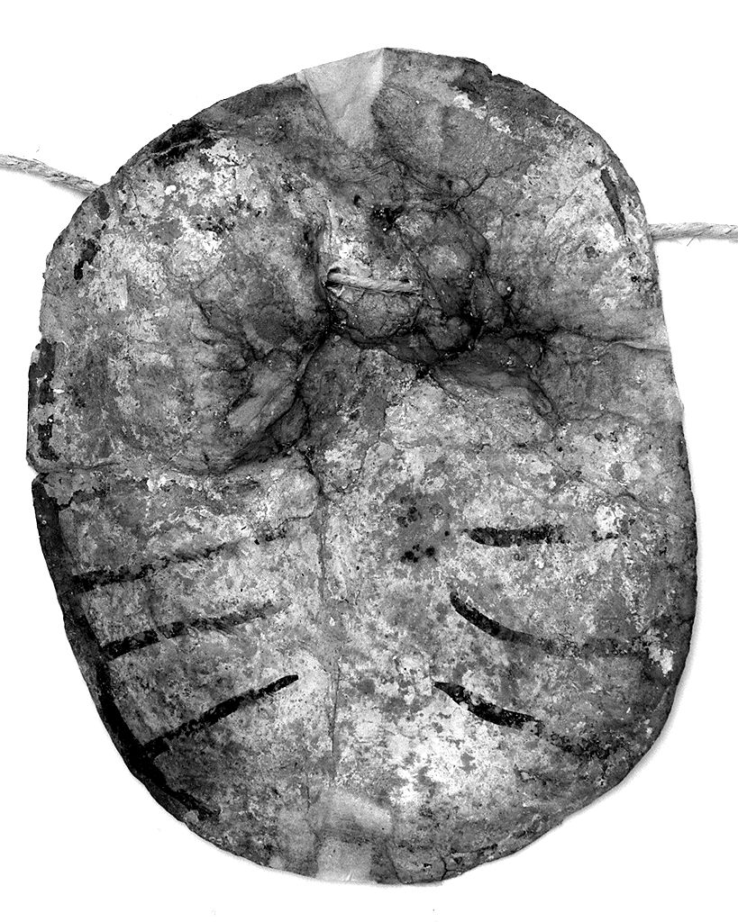 torace (ex voto antropomorfo) - valdelsano (secc. XVI/ XIX)