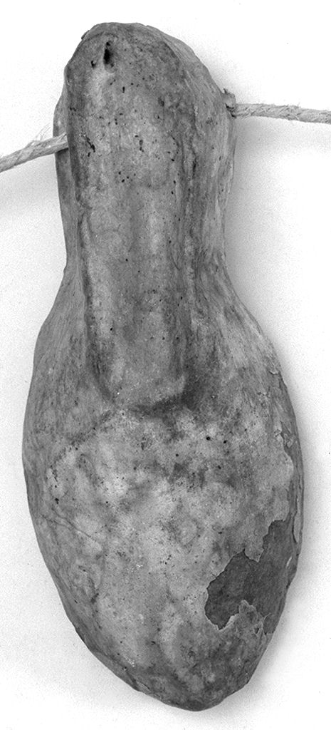 piede (ex voto antropomorfo) - valdelsano (secc. XVI/ XVIII)