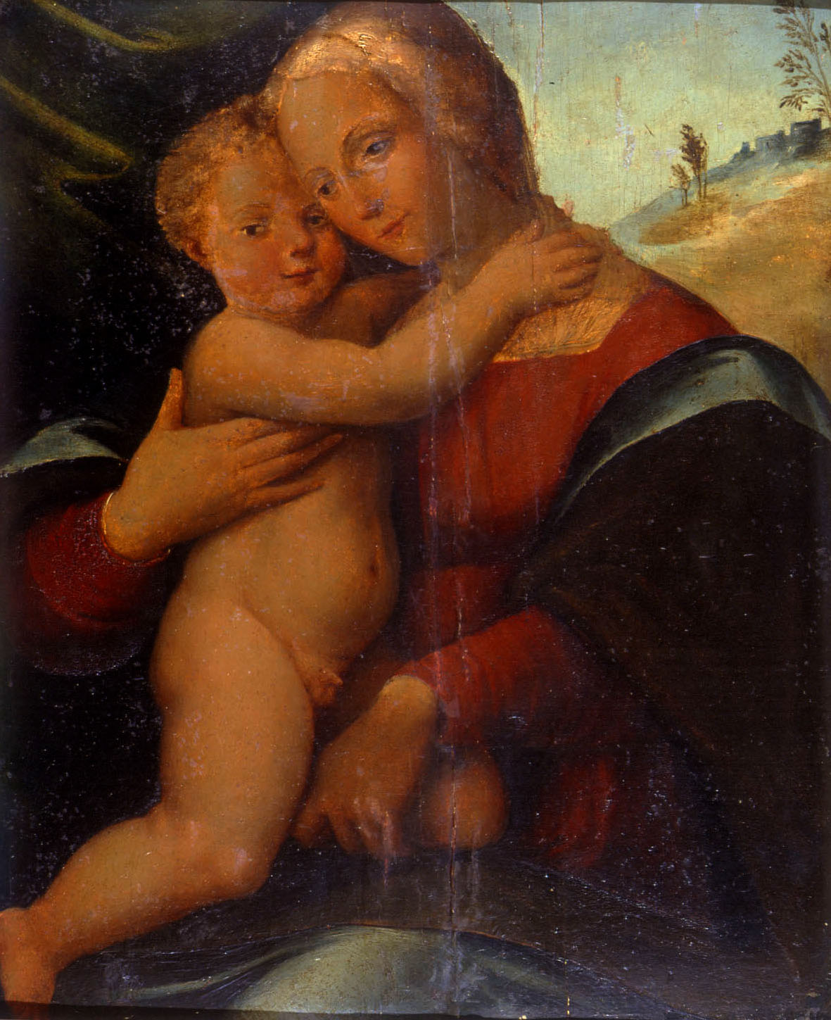 Madonna col Bambino (dipinto) - ambito ferrarese (secc. XV/ XVI)