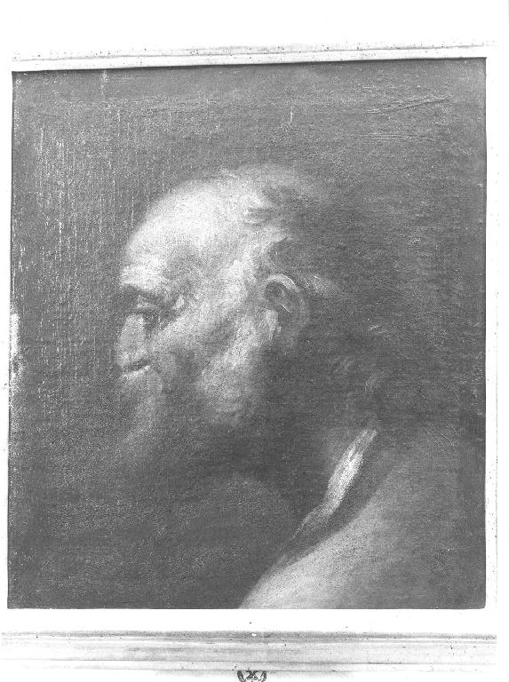 testa d'uomo di profilo (dipinto, opera isolata) - ambito ligure (sec. XVII)
