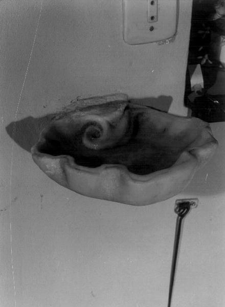 acquasantiera - a conchiglia - bottega ligure (seconda metà sec. XVI)