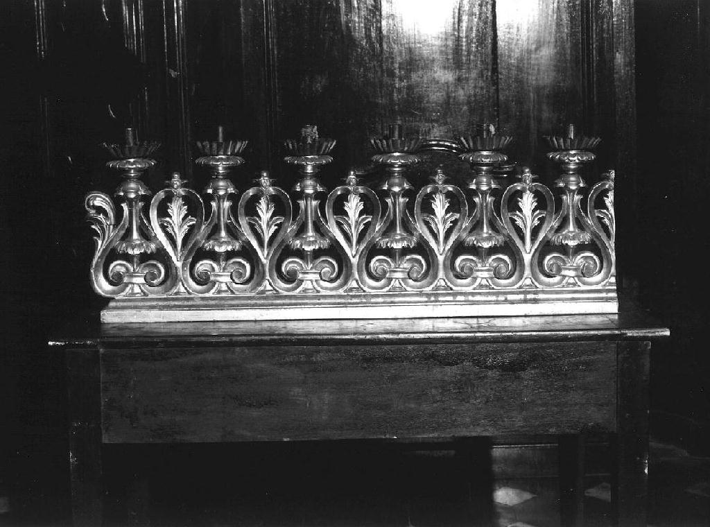 MOTIVI DECORATIVI VEGETALI (ersia, opera isolata) - bottega ligure (prima metà sec. XIX)