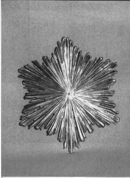 aureola di statua, opera isolata - bottega ligure (metà sec. XVIII)