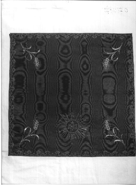 motivi decorativi vegetali (velo di calice, elemento d'insieme) di Scotto Giuseppe (sec. XX)