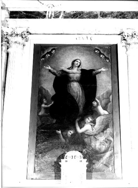 ASSUNZIONE DELLA MADONNA (dipinto, elemento d'insieme) - ambito ligure (seconda metà sec. XVIII)