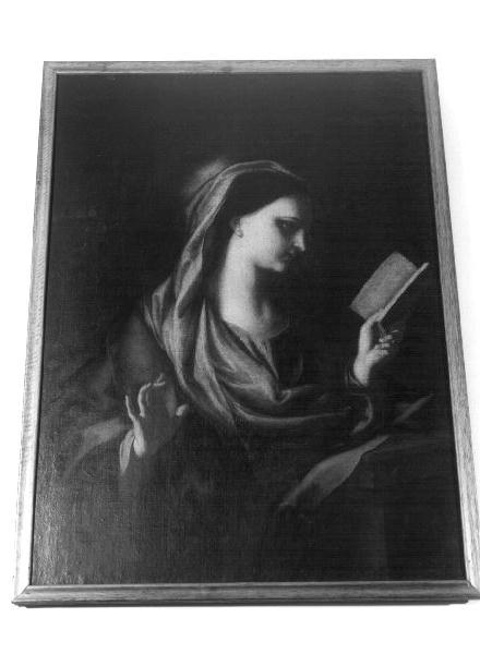 Madonna leggente (dipinto, opera isolata) di Piola Domenico (attribuito) (seconda metà sec. XVII)