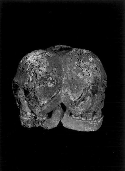 teschio (base, opera isolata) - bottega ligure (seconda metà sec. XVIII)