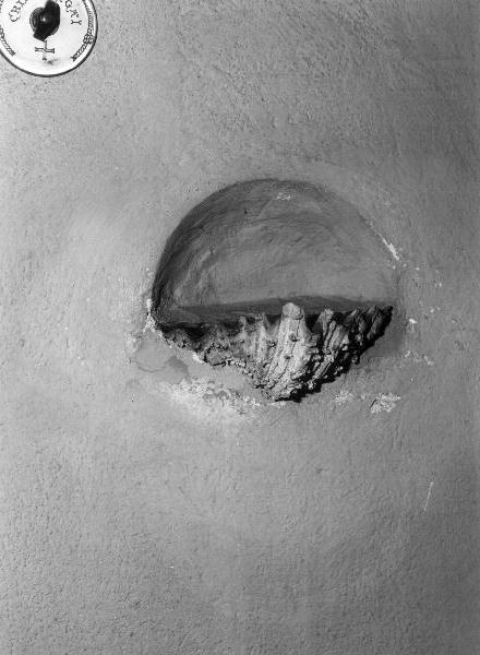 acquasantiera da parete, elemento d'insieme - PRODUZIONE LIGURE (prima metà sec. XX)