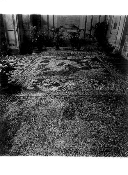 tentazione di Eva/ Caino uccide Abele/ arca di Noè (pavimento, opera isolata) di Fiasella Domenico detto Sarzana (sec. XVII)