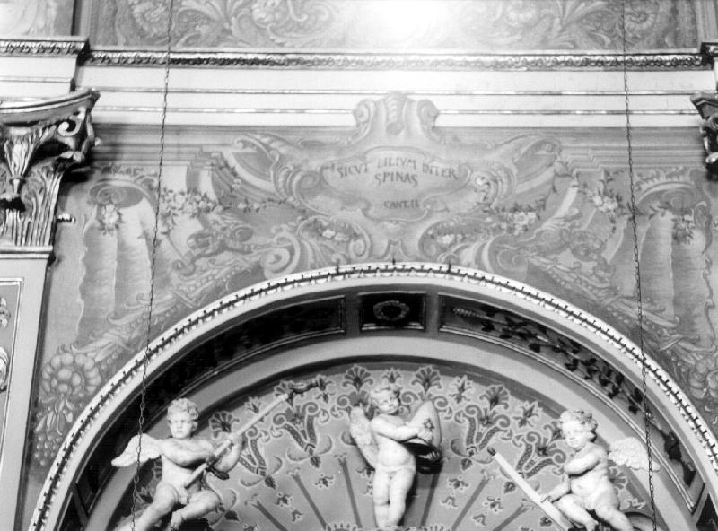 San Giovanni Battista/ motivi decorativi vegetali/ conchiglia (dipinto, elemento d'insieme) - ambito ligure (primo quarto sec. XIX)