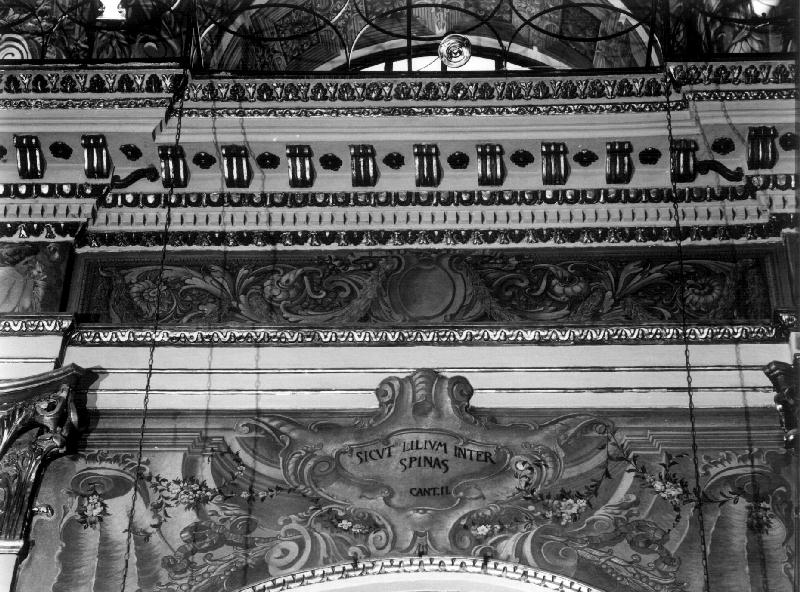 motivo decorativo fitomorfo (cornice, elemento d'insieme) - bottega ligure (prima metà sec. XIX)