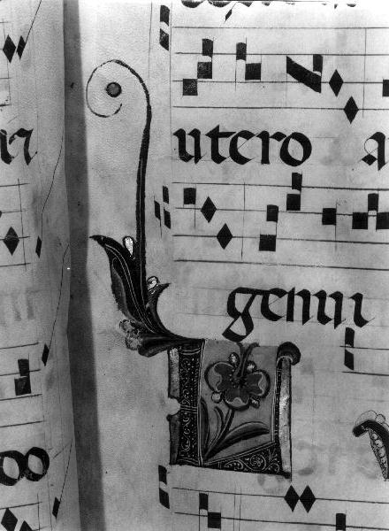 miniatura, opera isolata - produzione italiana (sec. XV)