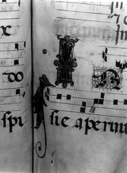 miniatura, opera isolata - produzione italiana (sec. XV)