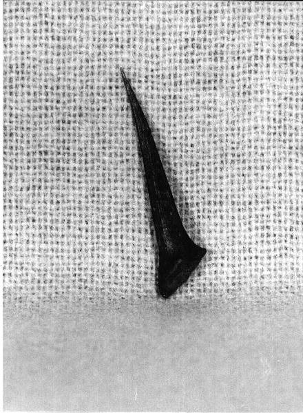 reliquiario, opera isolata - bottega italiana (sec. XIX)