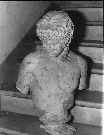 busto maschile (scultura) - bottega italiana (sec. XIX)