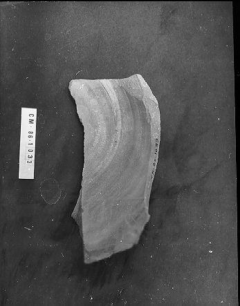 contenitore, frammento - bottega italiana (secc. XV/ XVI)