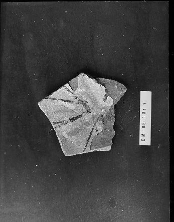 piatto, frammento - bottega italiana (secc. XIII/ XIV)