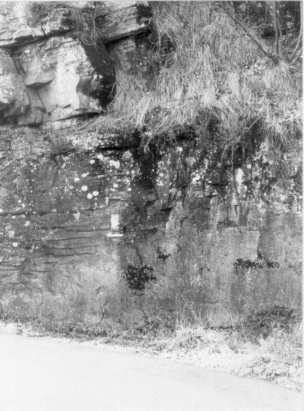 MADONNA CON BAMBINO IN TRONO (rilievo) - bottega apuana (sec. XVIII)