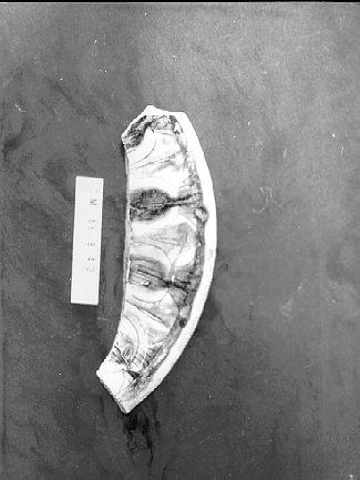 scodella, frammento - bottega italiana (secc. XV/ XVI)