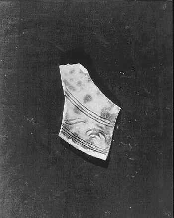 piatto, frammento - bottega italiana (seconda metà sec. XVI)