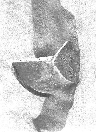 catino, frammento - bottega italiana (sec. XV)