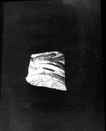 contenitore, frammento - bottega italiana (sec. XVI)